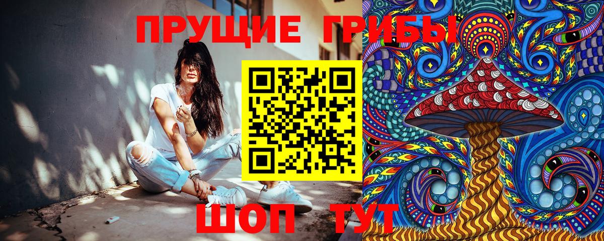 Ижевск  Псилоцибиновые грибы GOLDEN TEACHER  Вход с VPN 
